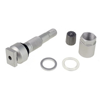 Zawór Wentyl TPMS - 10 STIX do czujnika Schrader srebrny