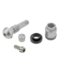 Zawór Wentyl TPMS - 01 STIX do czujnika HUF Beru srebrny
