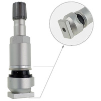 Zawór Wentyl TPMS - 10 STIX do czujnika Schrader srebrny