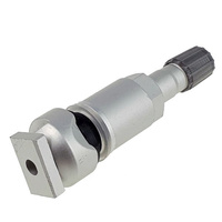 Zawór Wentyl TPMS - 10 STIX do czujnika Schrader srebrny
