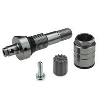 Zawór Wentyl TPMS - 17 CUB do czujnika UNI Sensor CUB szary