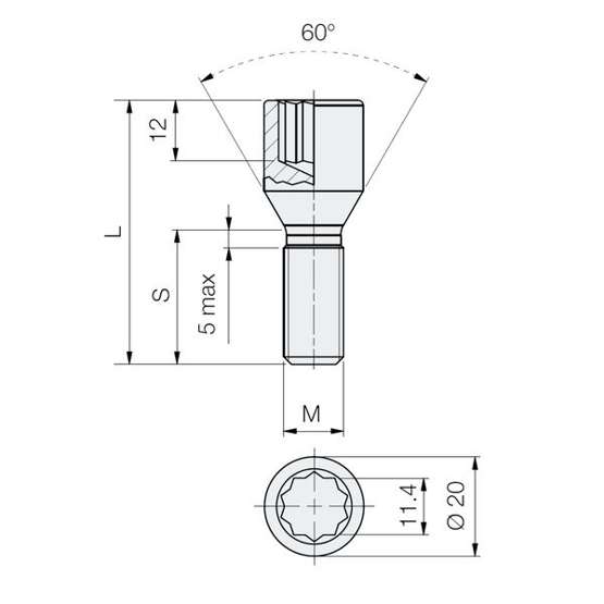 Śruba M12x1.75 / 28mm / do wąskich otw. / Torx - (ocynk) - Carbonado